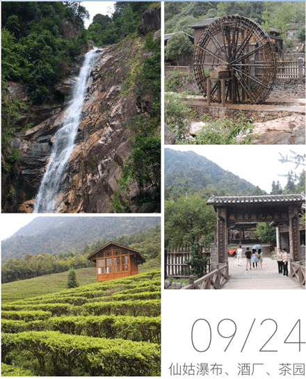 酒廠，茶園